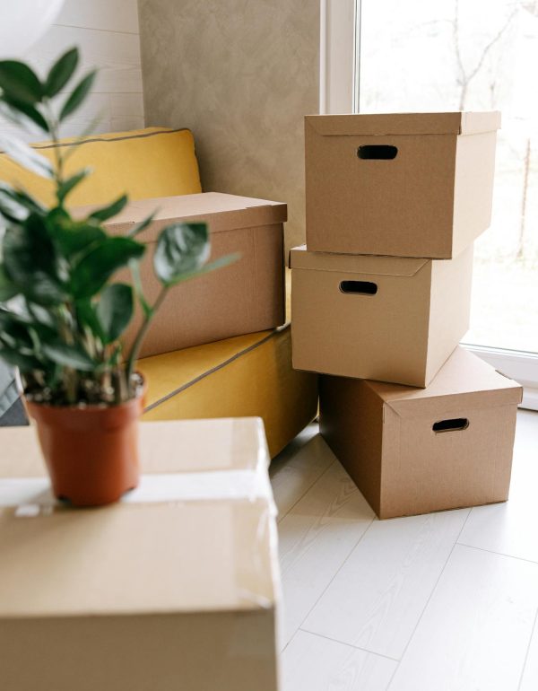 pexels-ivan-samkov-8962868